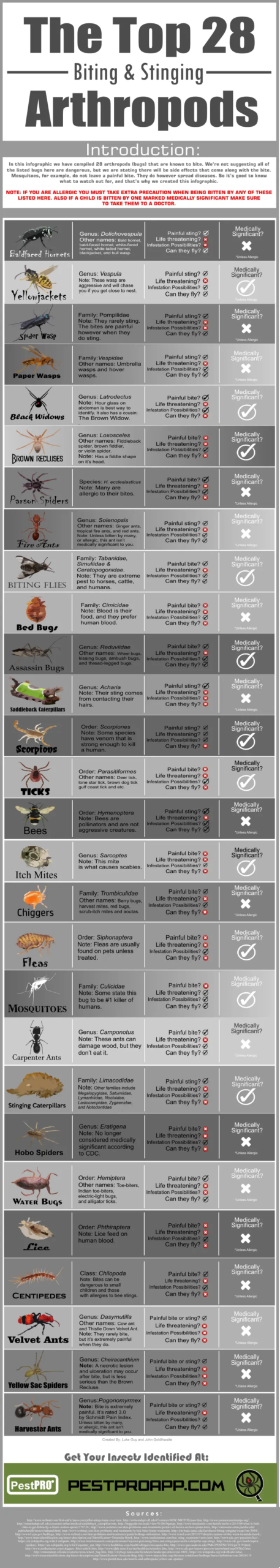 Infographic of top 28 biting and stinging arthropods.